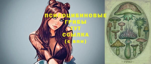 первитин Лагань